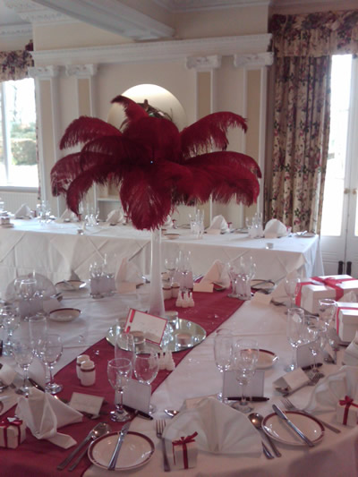 Ostrich Feather Hire UK